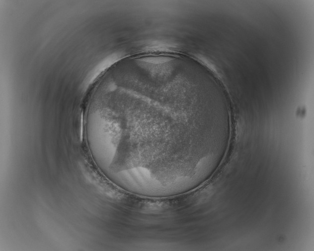 X0000111351219200907241151