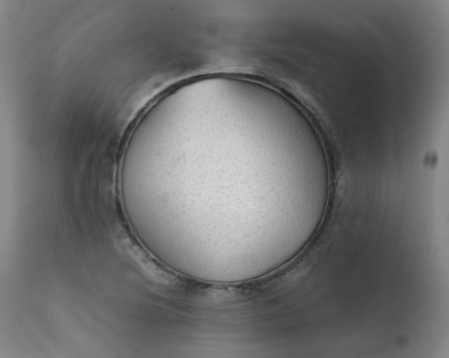 X0000111351220200907241151