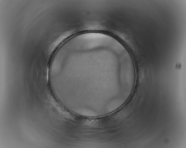 X0000111351221200907241151