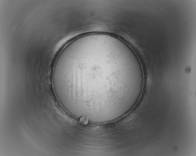 X0000111351222200907241151