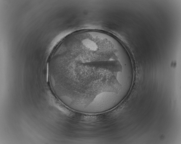 X0000111351223200907241151