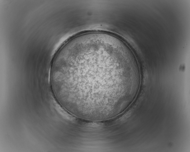 X0000111351224200907241151