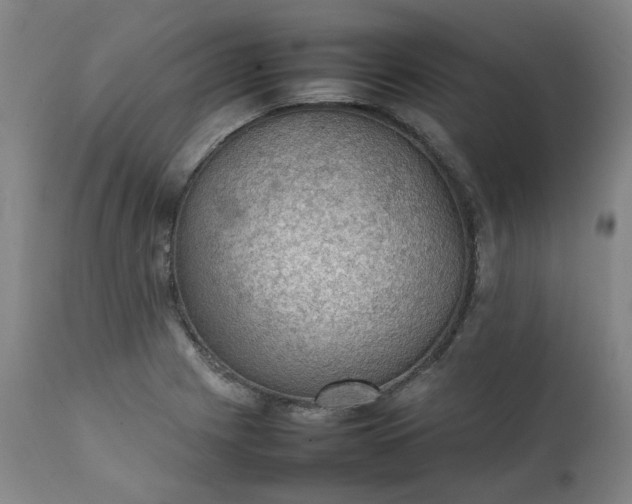 X0000111351225200907241151