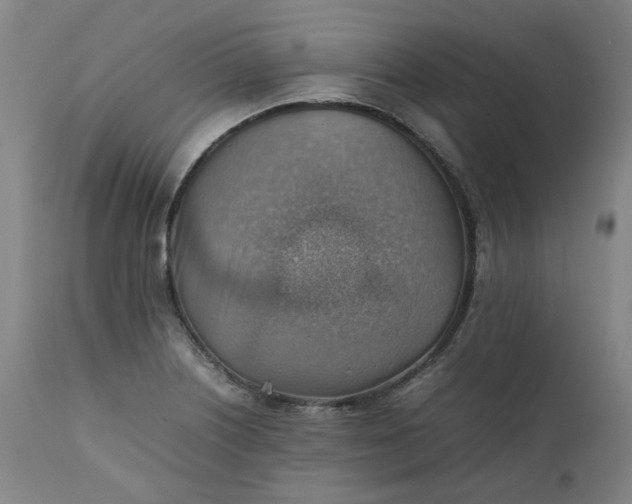 X0000111351226200907241151