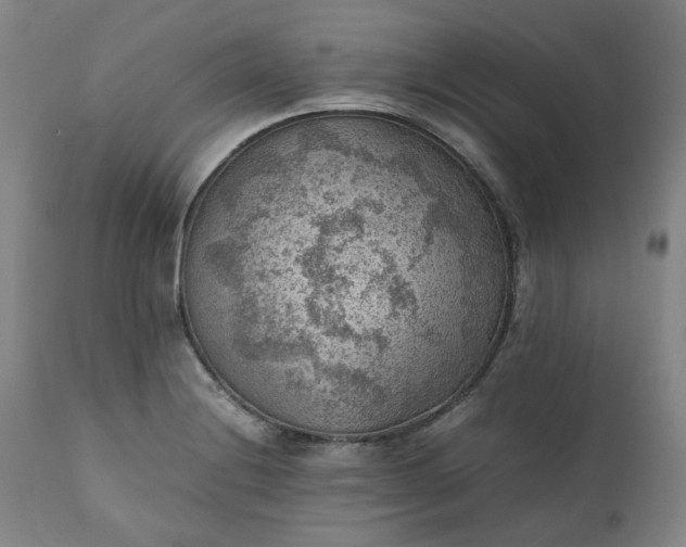 X0000111351228200907241151