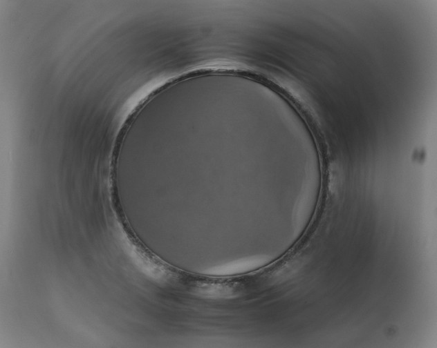 X0000111351229200907241151