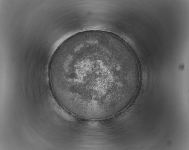 X0000111351230200907241151