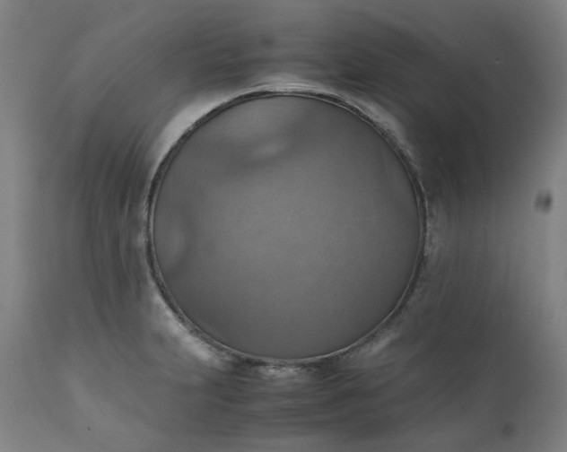 X0000111351231200907241151