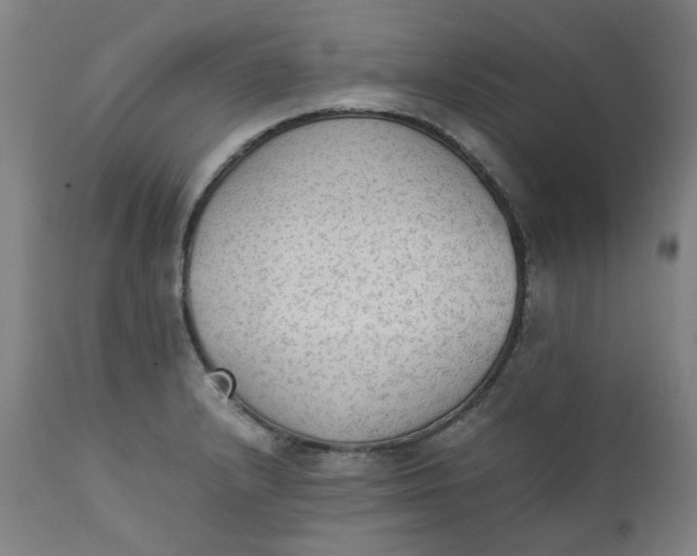 X0000111351232200907241151