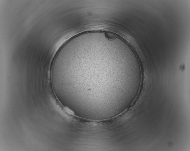 X0000111351234200907241151