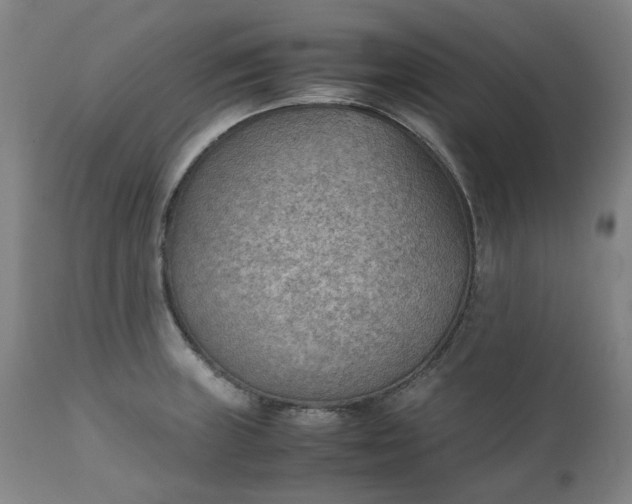 X0000111351235200907241151