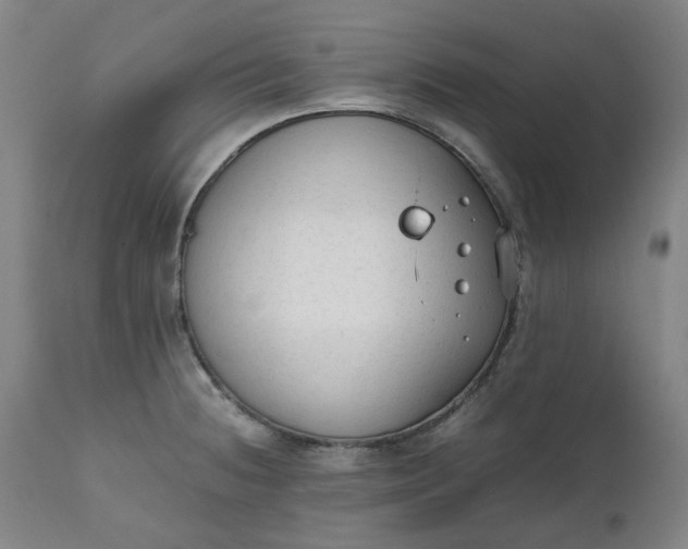 X0000111351236200907241151