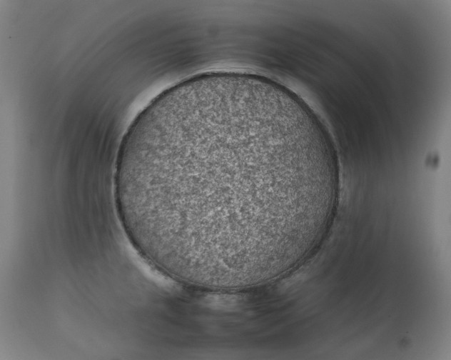 X0000111351237200907241151