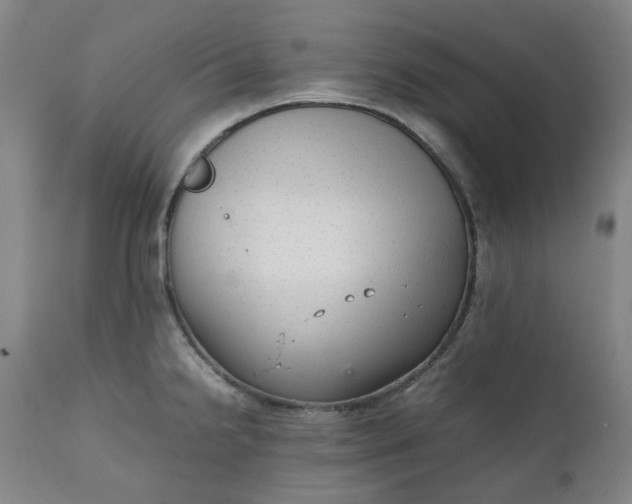 X0000111351238200907241151