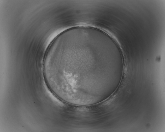 X0000111351239200907241151