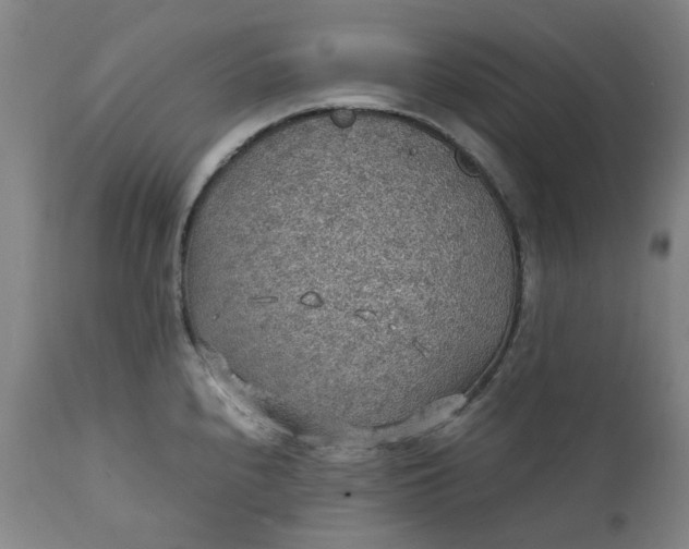 X0000111351240200907241151