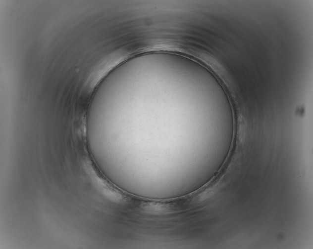 X0000111351241200907241151