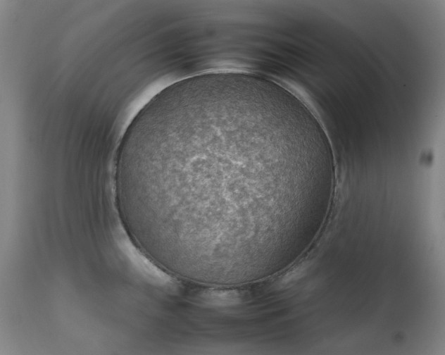 X0000111351243200907241151