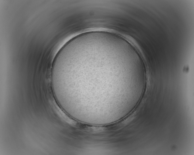 X0000111351244200907241151