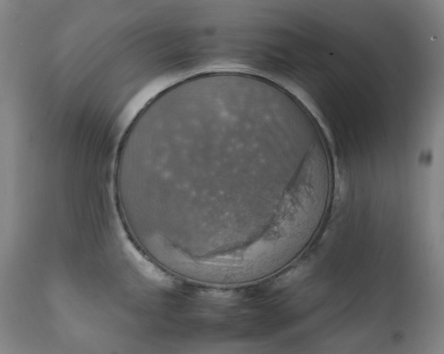 X0000111351245200907241151