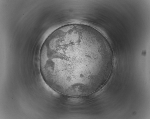 X0000111351247200907241151