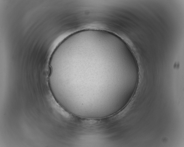 X0000111351248200907241151