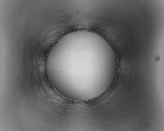 X0000111351250200907241150