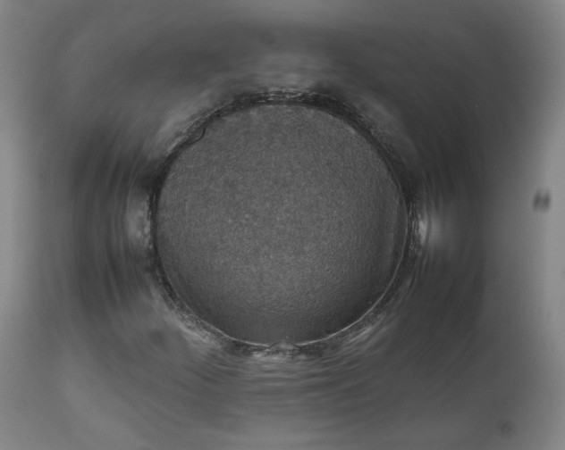 X0000111351252200907241150