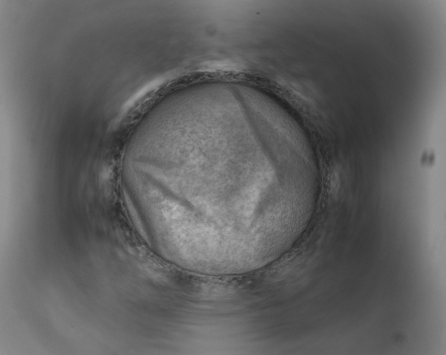 X0000111351254200907241150