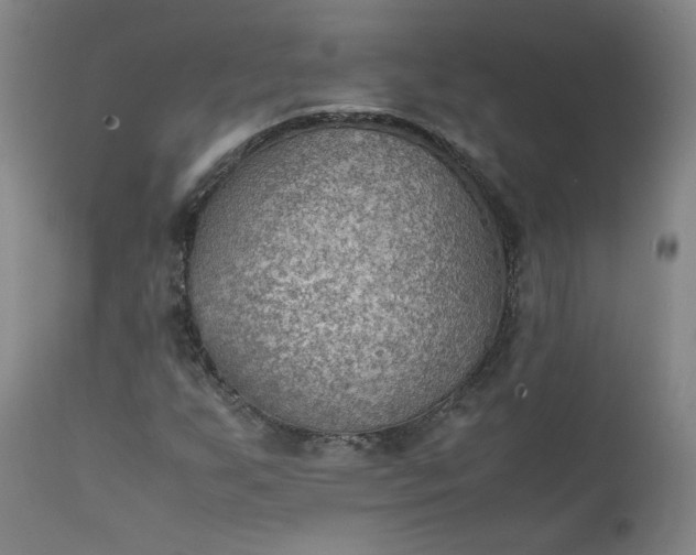 X0000111351255200907241150