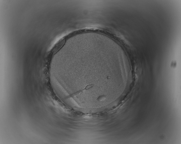 X0000111351256200907241150