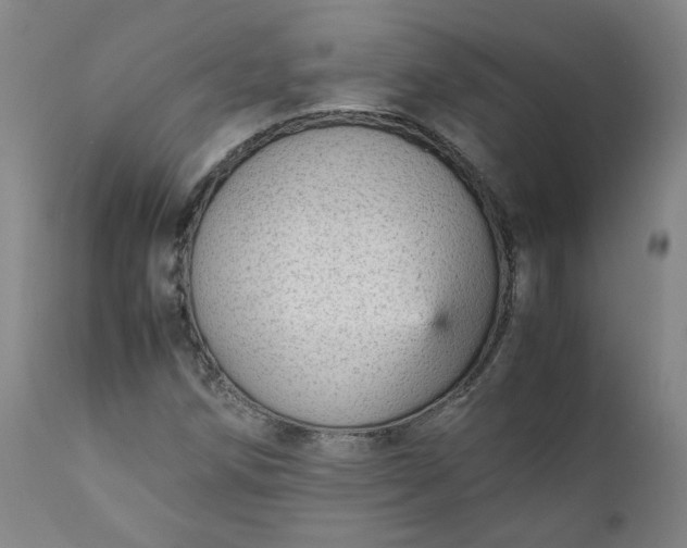 X0000111351258200907241150