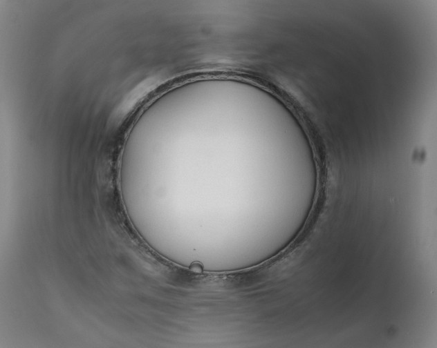 X0000111351259200907241150