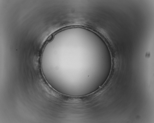 X0000111351260200907241150