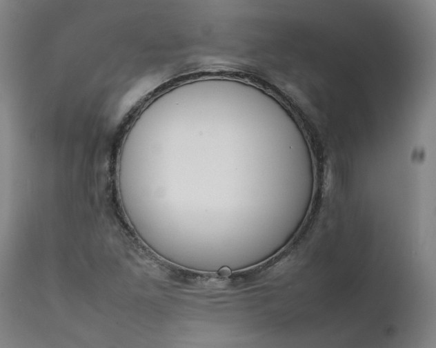 X0000111351261200907241150