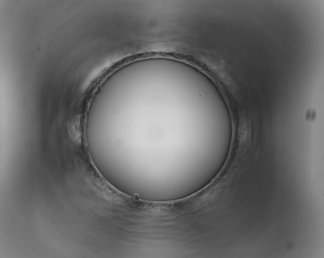 X0000111351262200907241150