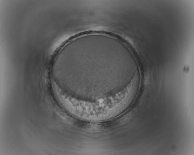 X0000111351263200907241150