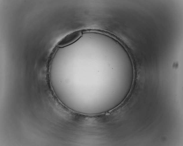 X0000111351264200907241150