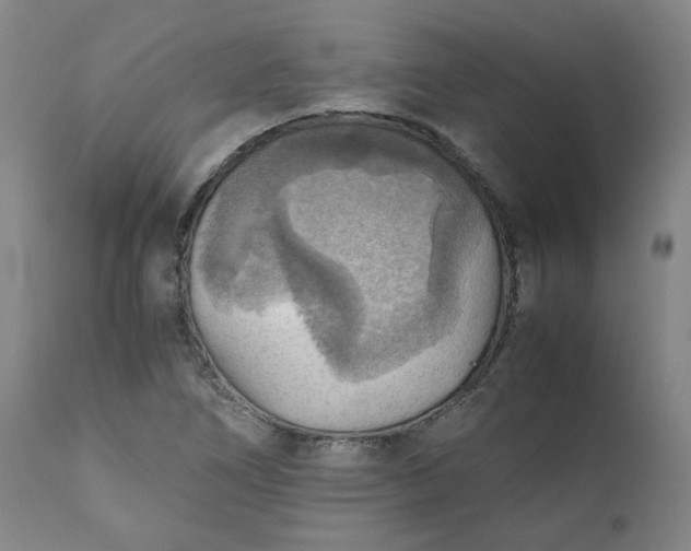 X0000111351266200907241150