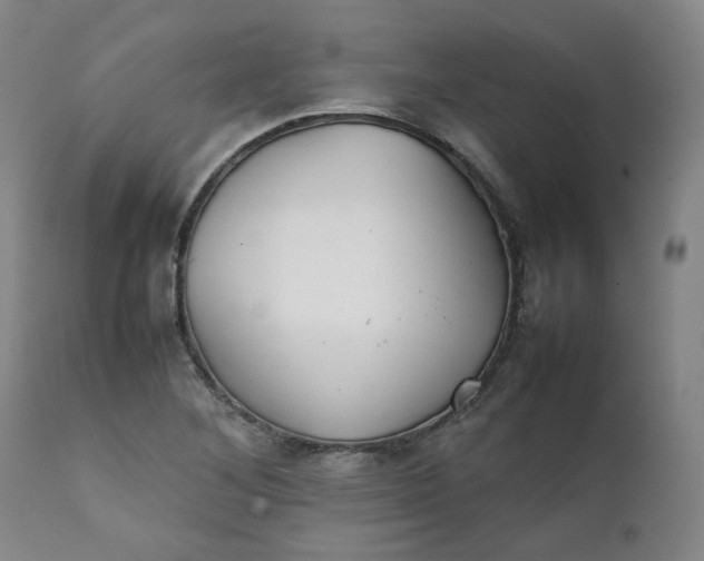 X0000111351268200907241150