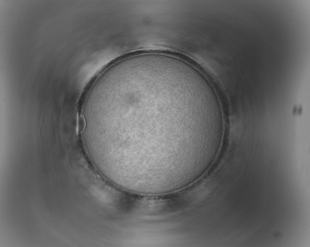 X0000111351269200907241150