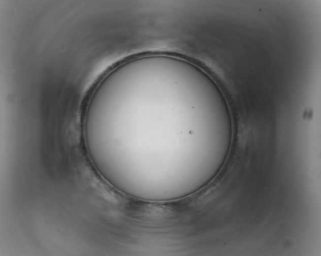 X0000111351270200907241150