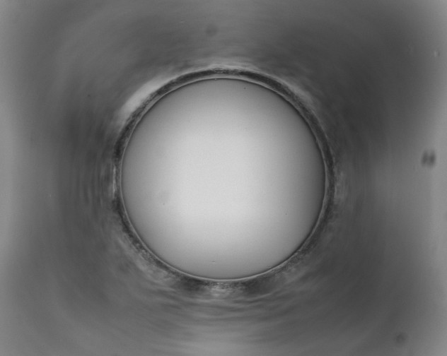 X0000111351271200907241150