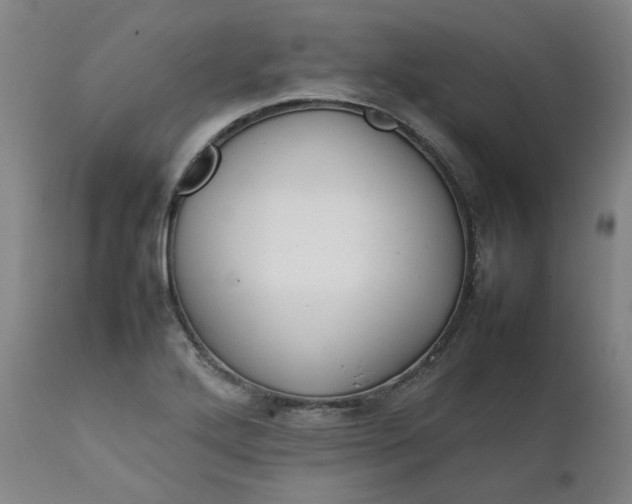 X0000111351272200907241150