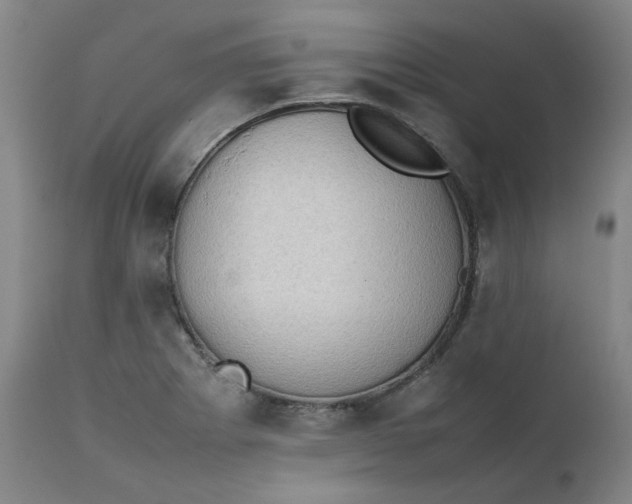 X0000111351273200907241150