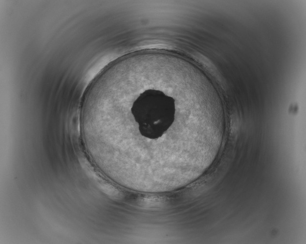 X0000111351274200907241150