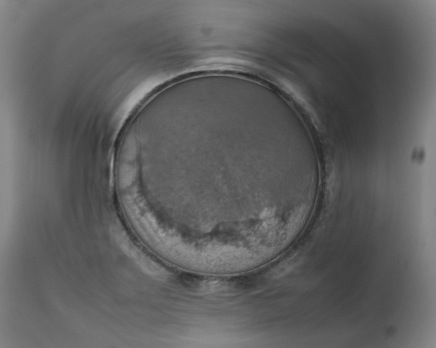 X0000111351275200907241150