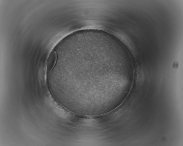 X0000111351276200907241150