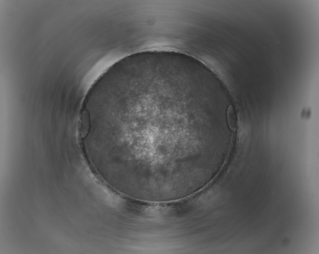 X0000111351277200907241150