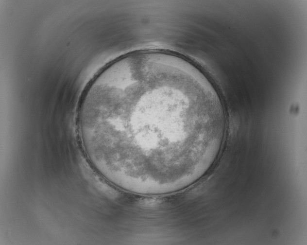 X0000111351278200907241150